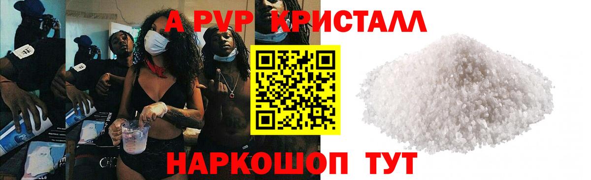 A PVP СК Мыски