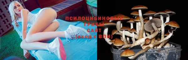 бошки Покровск
