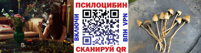 Псилоцибиновые грибы Psilocybe  Мыски 