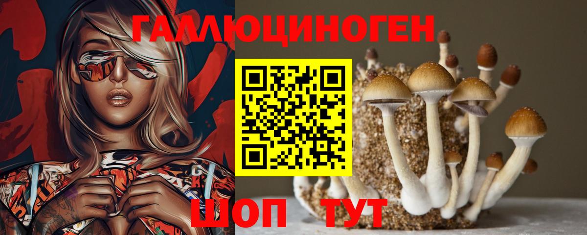 Галлюциногенные грибы Cubensis  Вход с VPN  Мыски 